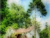 This Old House