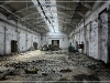 BlackSheep_0646