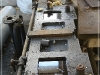 BlackSheep_0046