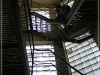 BlackSheep_0056
