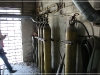 BlackSheep_0058