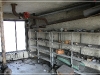 BlackSheep_0061