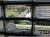 BlackSheep_0064