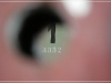 BlackSheep_0065
