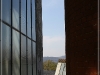 BlackSheep_0067