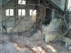 BlackSheep_0068