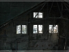 BlackSheep_0071