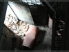 BlackSheep_0075
