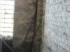 BlackSheep_0076