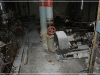 BlackSheep_0087
