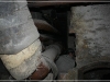 BlackSheep_0092
