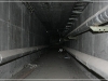 BlackSheep_0093