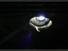 BlackSheep_0096