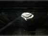BlackSheep_0097