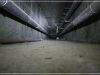BlackSheep_0098