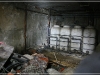 BlackSheep_0099