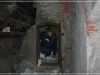 BlackSheep_0111