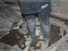 BlackSheep_0112