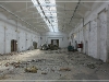 BlackSheep_0137