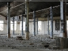 BlackSheep_0141