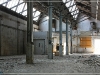 BlackSheep_0143