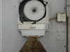 BlackSheep_0148