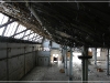 BlackSheep_0151