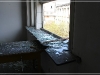 BlackSheep_0155