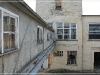 BlackSheep_0163