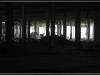 BlackSheep_0175