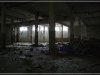 BlackSheep_0177