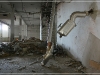 BlackSheep_0178