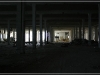 BlackSheep_0179