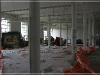 BlackSheep_0180