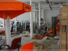 BlackSheep_0181