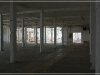 BlackSheep_0194