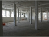 BlackSheep_0195