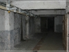 BlackSheep_0219