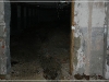 BlackSheep_0221