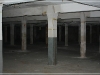BlackSheep_0222