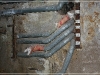 BlackSheep_0223