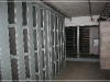 BlackSheep_0237
