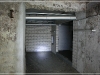 BlackSheep_0238