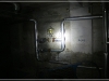 BlackSheep_0239