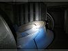 BlackSheep_0240
