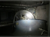 BlackSheep_0242