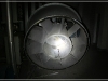 BlackSheep_0245