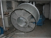 BlackSheep_0246