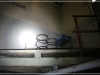 BlackSheep_0252