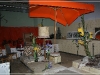 BlackSheep_0261